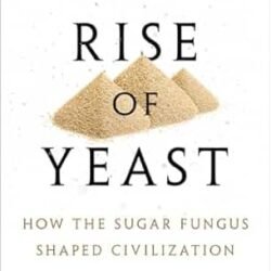 The Rise of Yeast: How the sugar fungus shaped civilisation