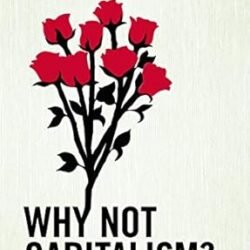Why Not Capitalism?