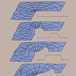 Wave Motion In Elastic Solids