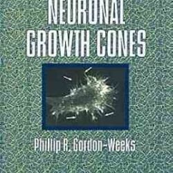 Neuronal Growth Cones