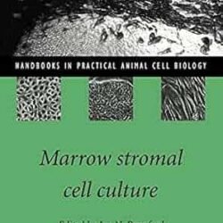 Marrow Stromal Cell Culture