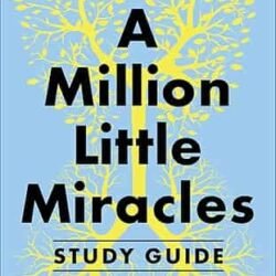 A Million Little Miracles Study Guide