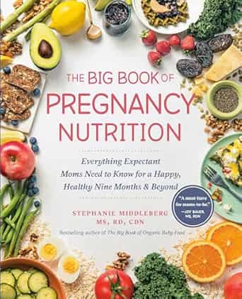 The Big Book Of Pregnancy Nutrition