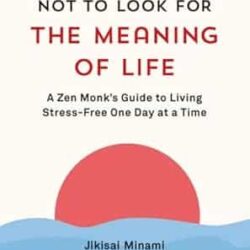 Its Okay Not To Look For The Meaning Of Life