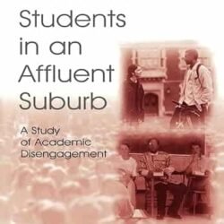Black American Students in An Affluent Suburb