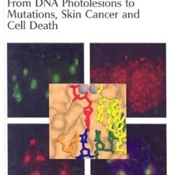 From DNA Photolesions to Mutations, Skin Cancer and Cell Death: Volume 5