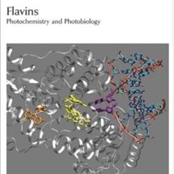 Flavins: Photochemistry and Photobiology