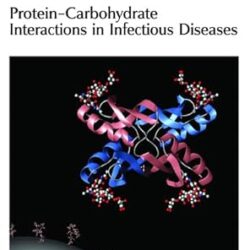 Protein-Carbohydrate Interactions in Infectious Diseases