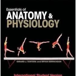 Essentials Of Anatomy And Physiology