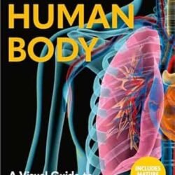 The Human Body: A Visual Guide to Human Anatomy
