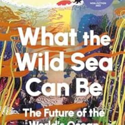 What The Wild Sea Can Be