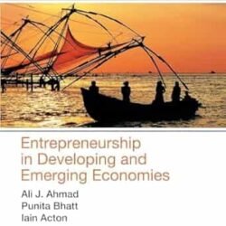 Entrepreneurship In Developing And Emerging Economies