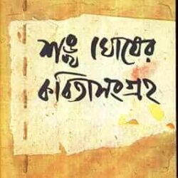 Kabita Sangrha Volume-I Sankha Ghosh (কবিতা সংগ্রহ ভলিউম-১ শঙ্খ ঘোষ) by Sankha Ghosh
