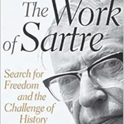 The Work of Sartre