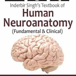 Inderbir Singhs Textbook Of Human Neuroanatomy : Fundamental & Clinical