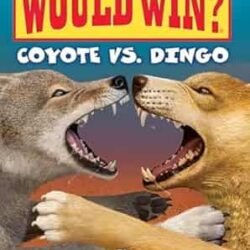 Who Would Win? : Coyote Vs. Dingo