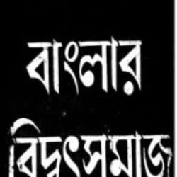 Banglar Bidyutsamaj