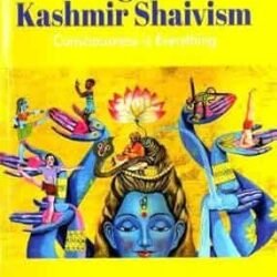The Yoga Of Kashmir Shaivism
