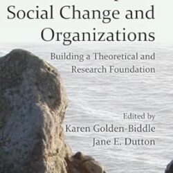 Using A Positive Lens to Explore Social Change and organizations