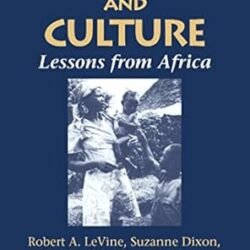 Child Care and Culture