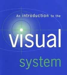 An Introduction to the Visual System