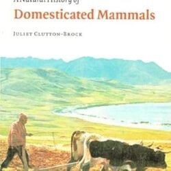 A Natural History Of Domesticated Mammals