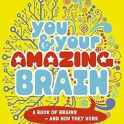 You & Your Amazing Brain