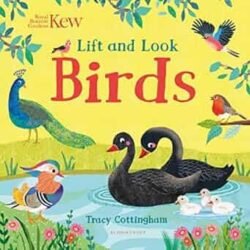 Kew:Lift And Look Birds
