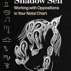Astrology Of The Shadow Self