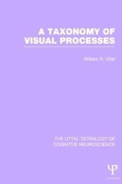 A Taxonomy of Visual Processses Volume 3