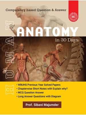 Human Anatomy