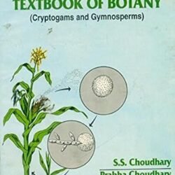 A Concise Textbook Of Botany