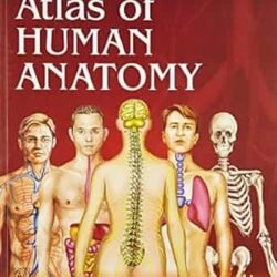 Asklepios Atlas Of Human Anatomy