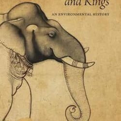 Elephants And Kings