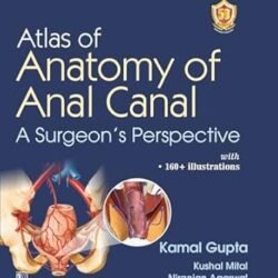 Atlas Of Anatomy Of Anal Canal A Surgeons Perspective