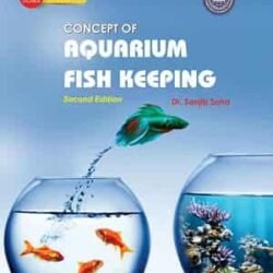 Concept Of Aquarium Fish Keeping