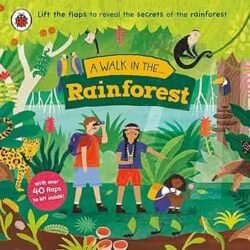 A Walk in the Rainforest