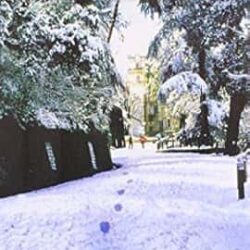 Shimla On Foot: Ten Walks