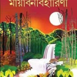 Mayabanabiharini