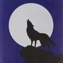 13 Rahashya Romancho Bhoutik