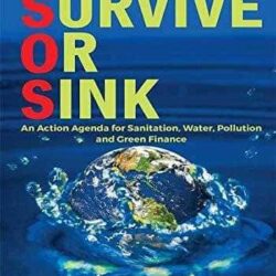 Survive Or Sink by Naina Lal Kidwai