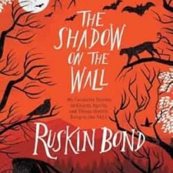 The Shadon On The Wall