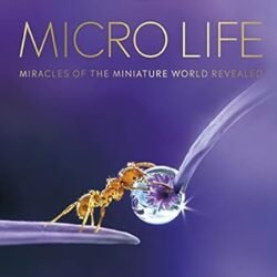 Micro Life