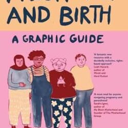 Pregnancy And Birth: A Graphic Guide