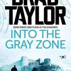 Into The Gray Zone