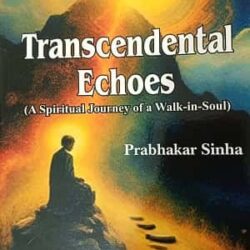 Transcendental Echoes