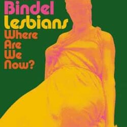 Lesbians by Julie Bindel