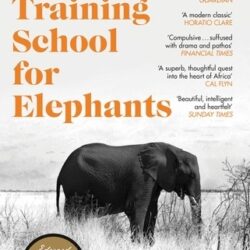 A Training School for Elephants by Sophy Roberts
