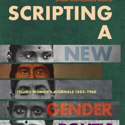 Scripting A New Gender Politic