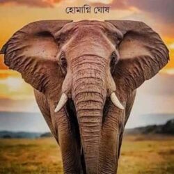 Matanga Kahini (মাতঙ্গ কাহিনী) by Homagni Ghosh